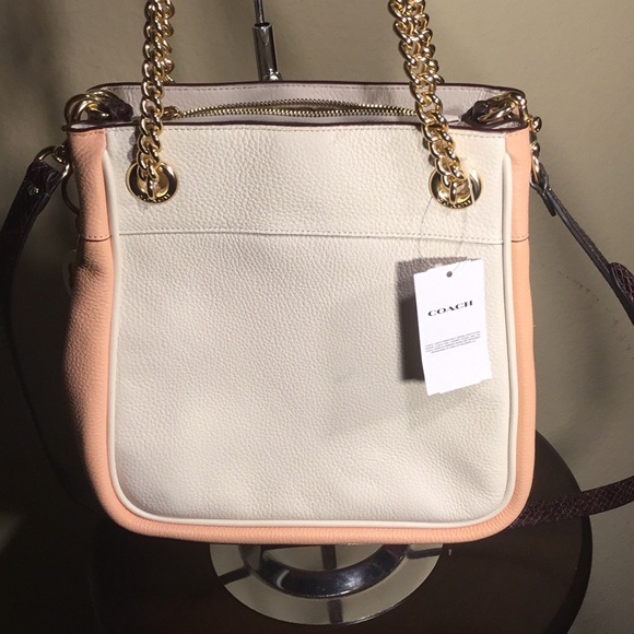 COPY - NEW! COACH Cammie Chain Bucket Bag Colorblock Pebble Leather Chalk Blush - Picture 3 of 7
